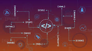 ডেভেলপার হতে গেলে